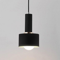 Iron Macaron Colored Pendant Lights
