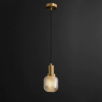 Contemporary LED Glass Pendant Light