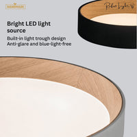 Round LED Lusters Ceiling Fixtures Chandelier