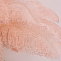 Luxury Ostrich Feather Resin LED Floor/Table Lamp