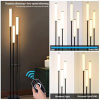 Luxury Shelf Floor Lamp Storage LED Floor Lamp