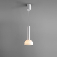 Sleek Minimalist Pendant Light Lacquered Finish