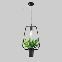 Decorative Home LED Pendant Light