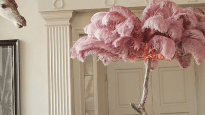Luxury Ostrich Feather Resin LED Floor/Table Lamp