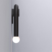 Twin Bulb Curved Metal Wall Light