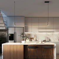 Modern Long Hanging Chandelier Light