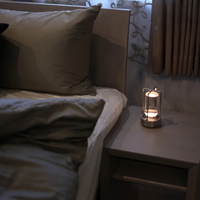 Metallic Cordless Charging Table Lamp