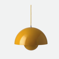 Semicircular Color Metal Pendant Light