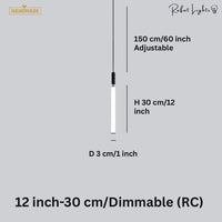 Sleek Modern Long Tube Pendant Light