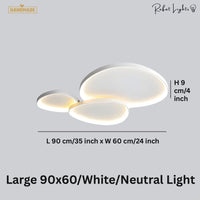 Simple Decorative Buble LED Chandelier Lights