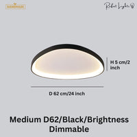 Simple Decorative Buble LED Chandelier Lights