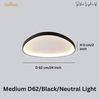 Simple Decorative Buble LED Chandelier Lights