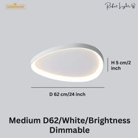 Simple Decorative Buble LED Chandelier Lights