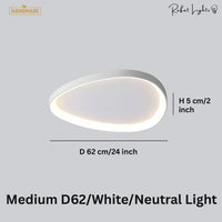 Simple Decorative Buble LED Chandelier Lights