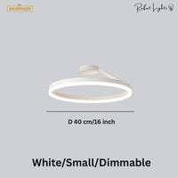 Nordic LED Designer Single Circle Chandelier